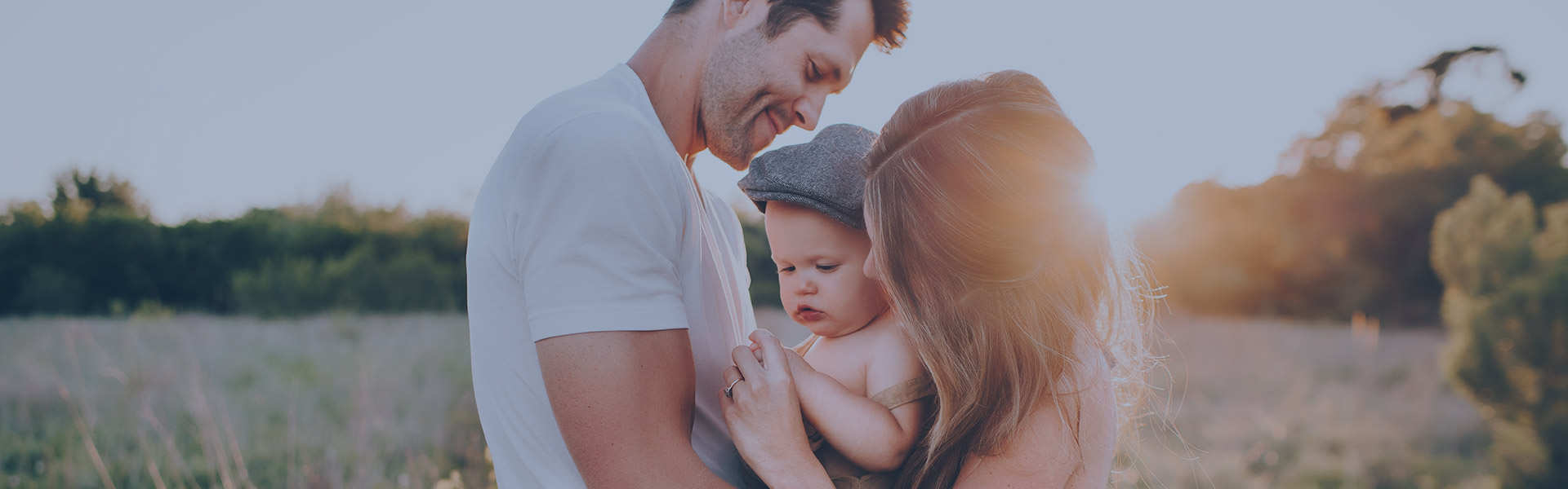 Pulso Farmacéutico Empresa