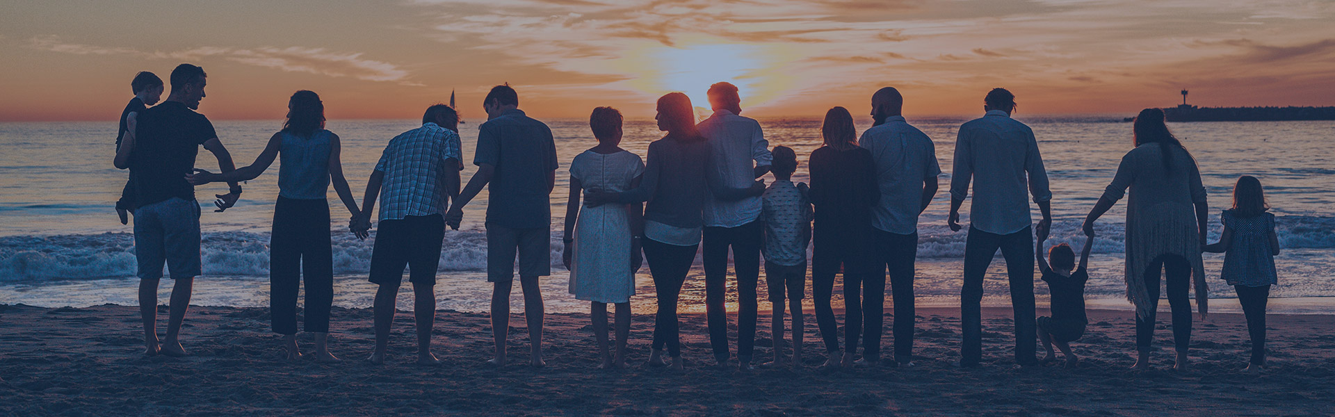 Pulso Farmacéutico Empresa